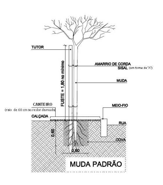 podas2